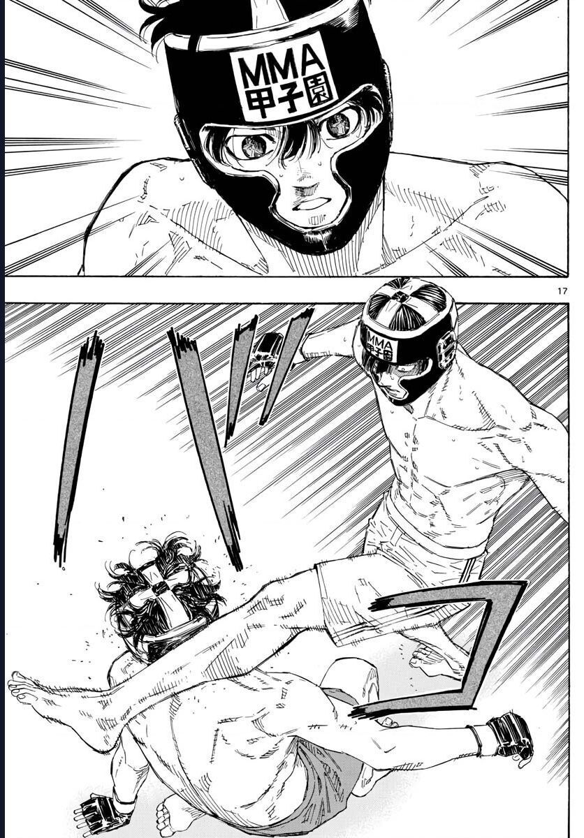 page_17