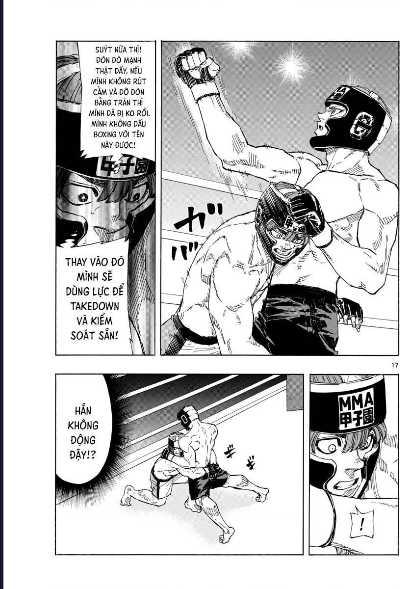 page_17