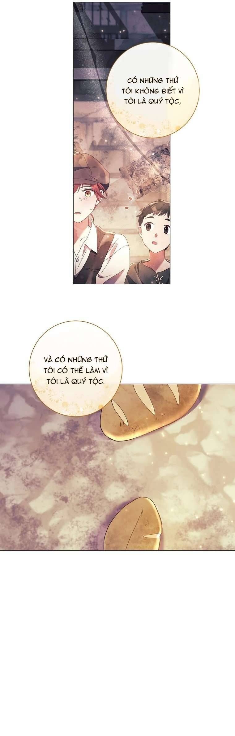page_41