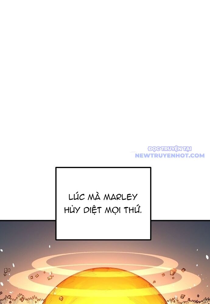 page_37