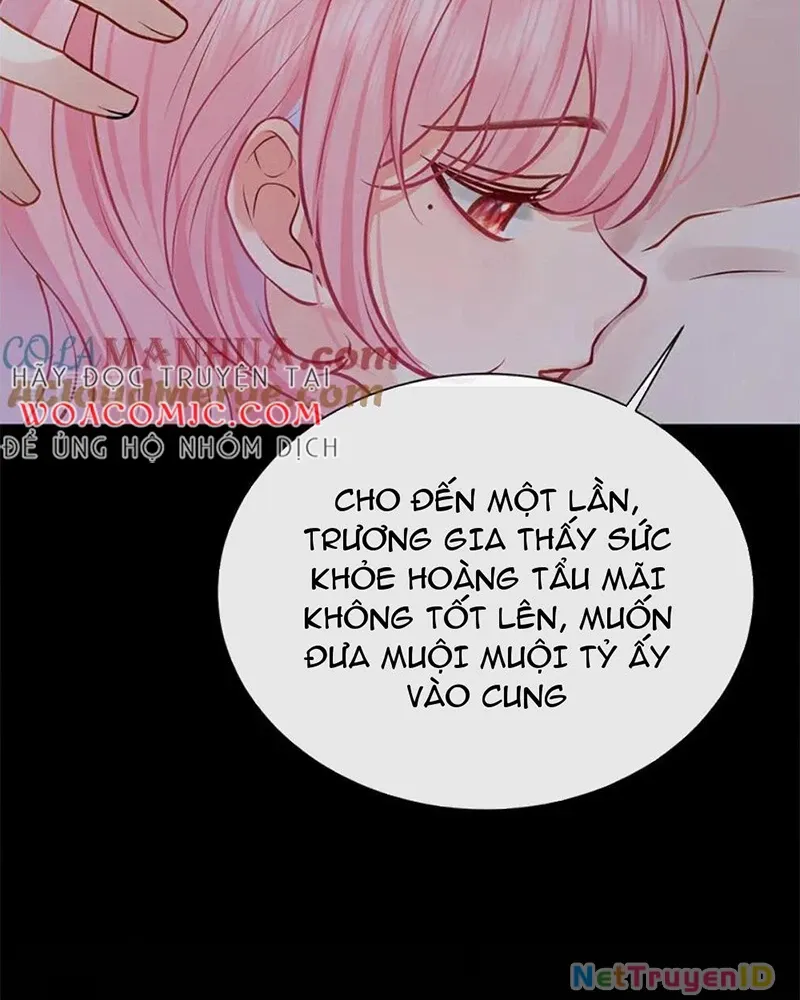 page_41