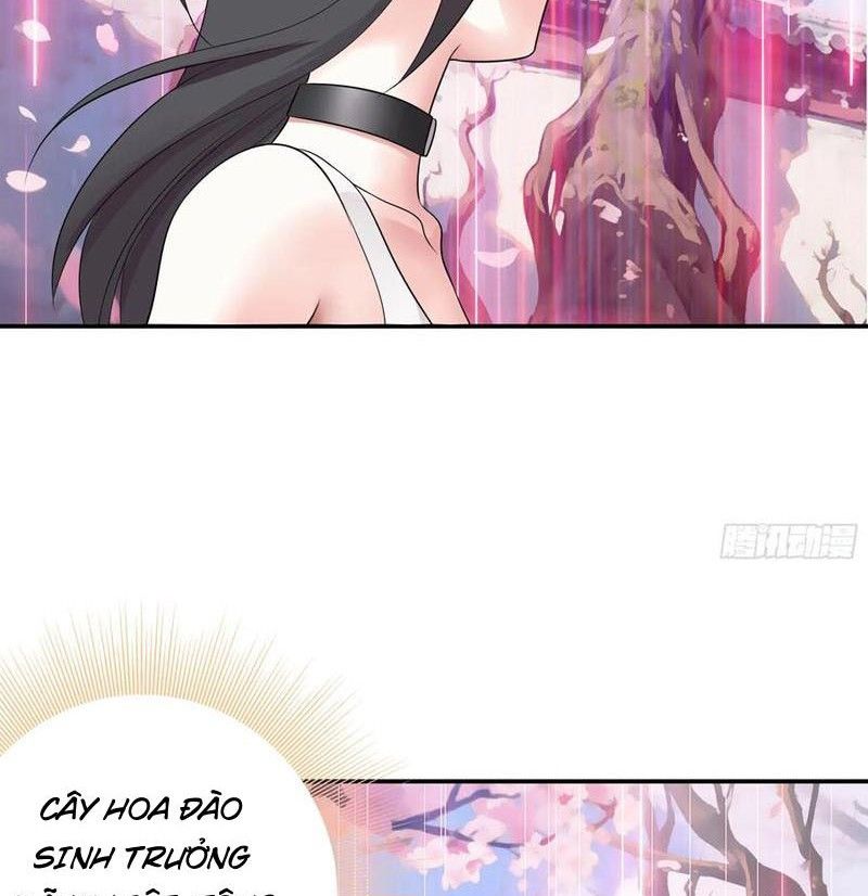 page_24