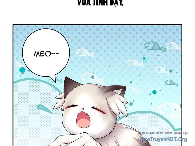 page_29