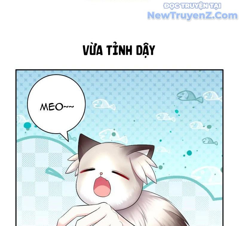 page_25