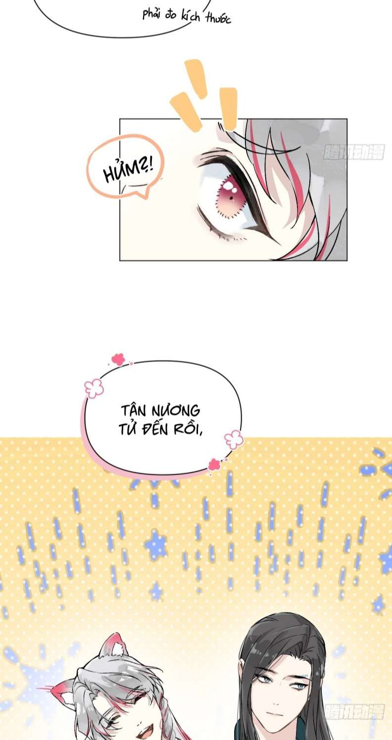 page_29