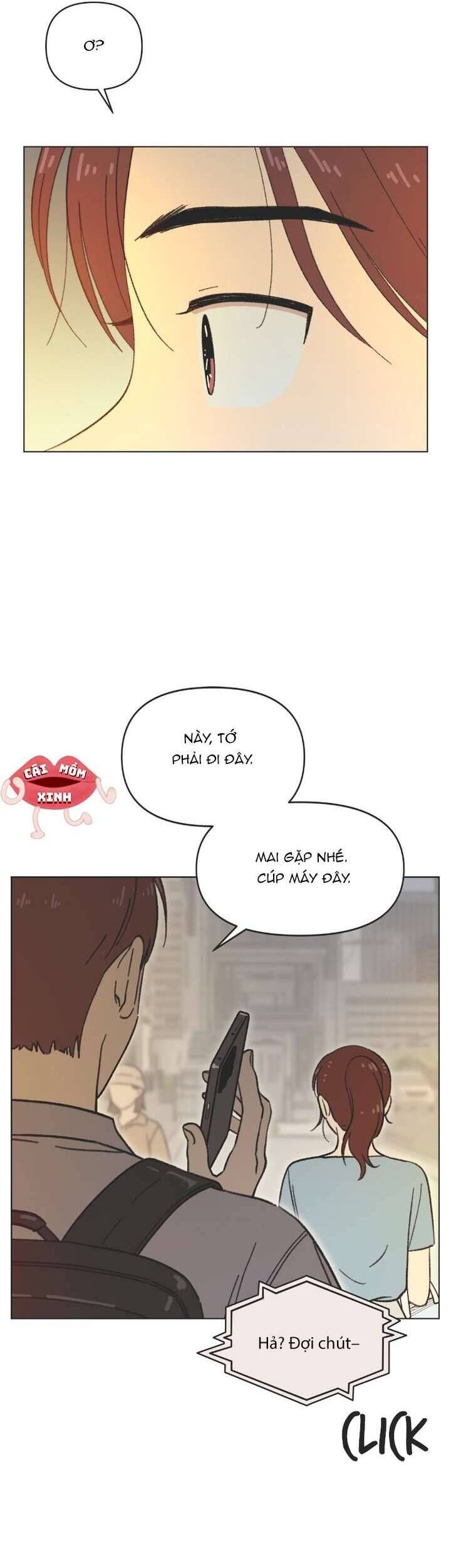 page_28
