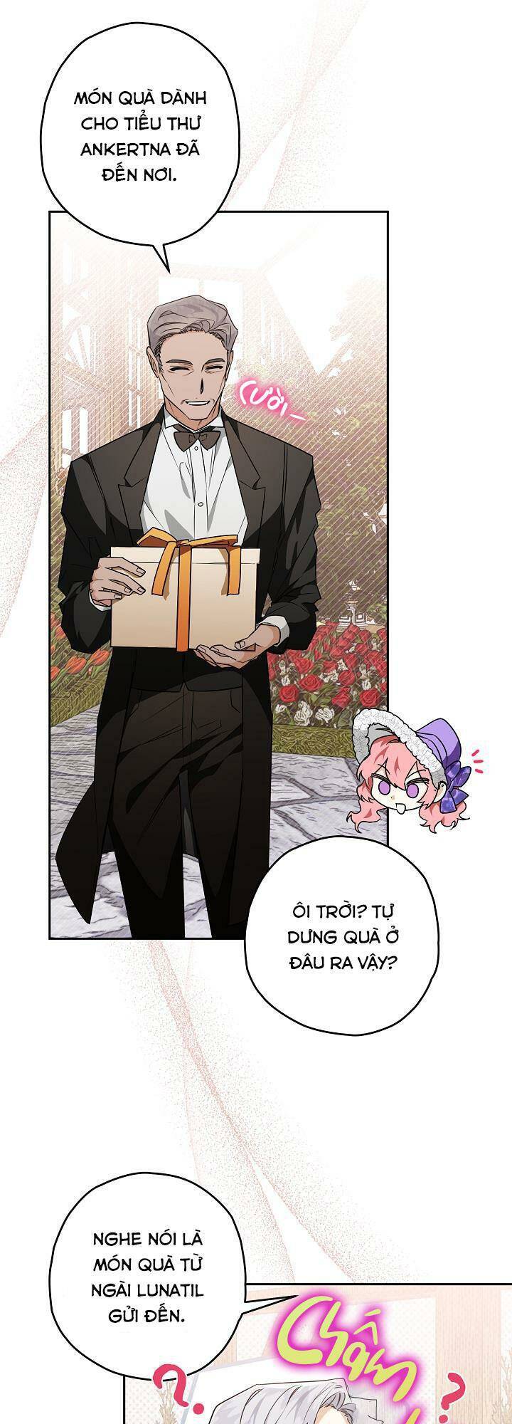 page_29