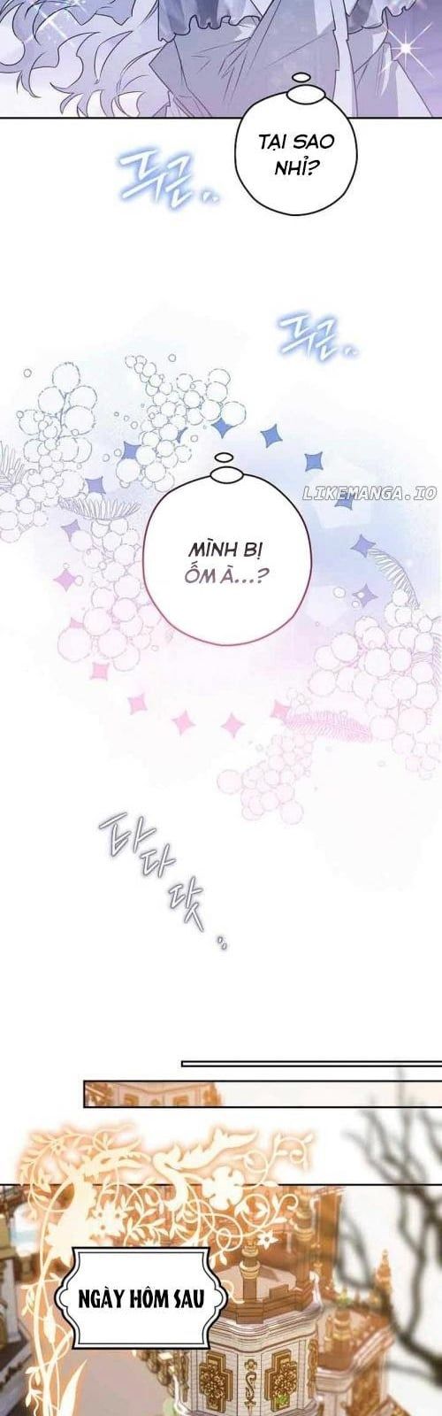 page_29