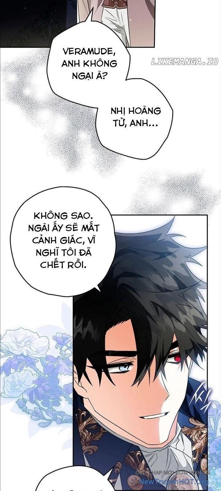 page_37