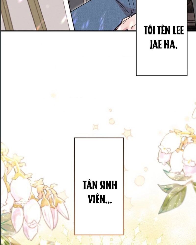 page_41