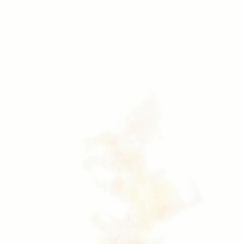 page_41