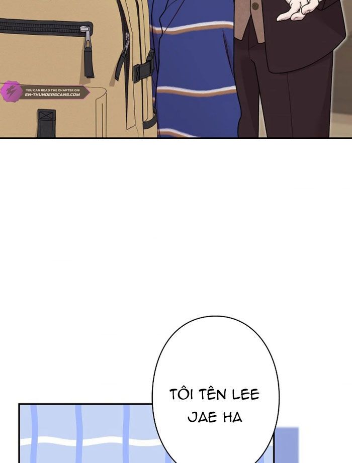 page_42