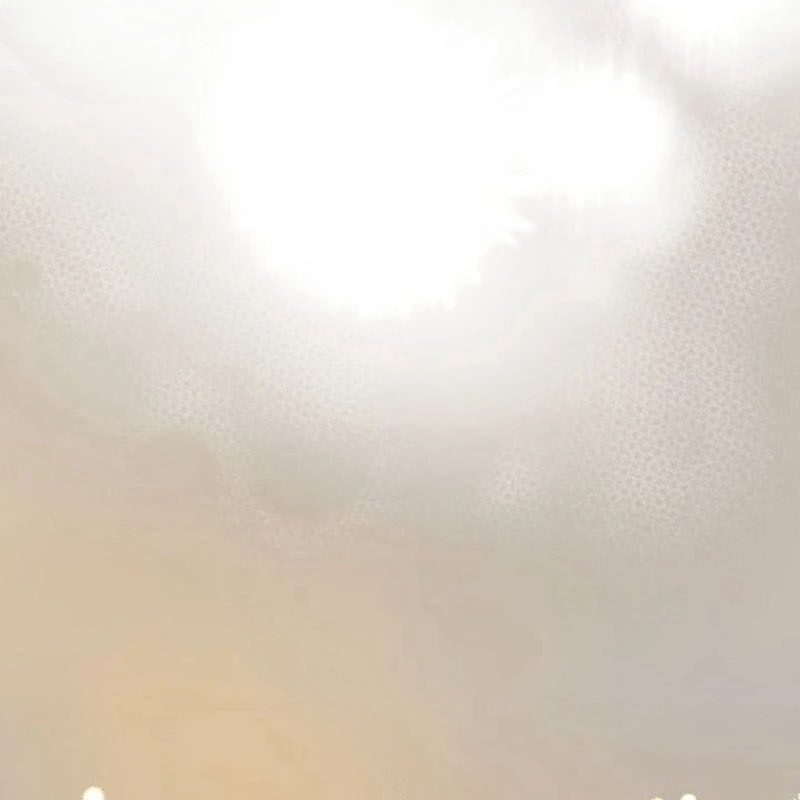 page_14