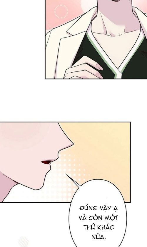 page_17