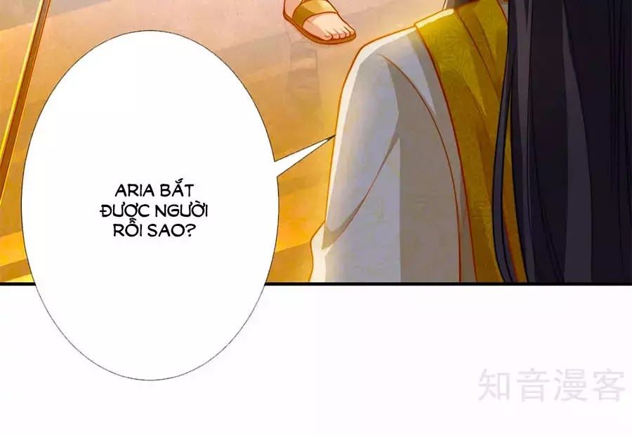 page_5