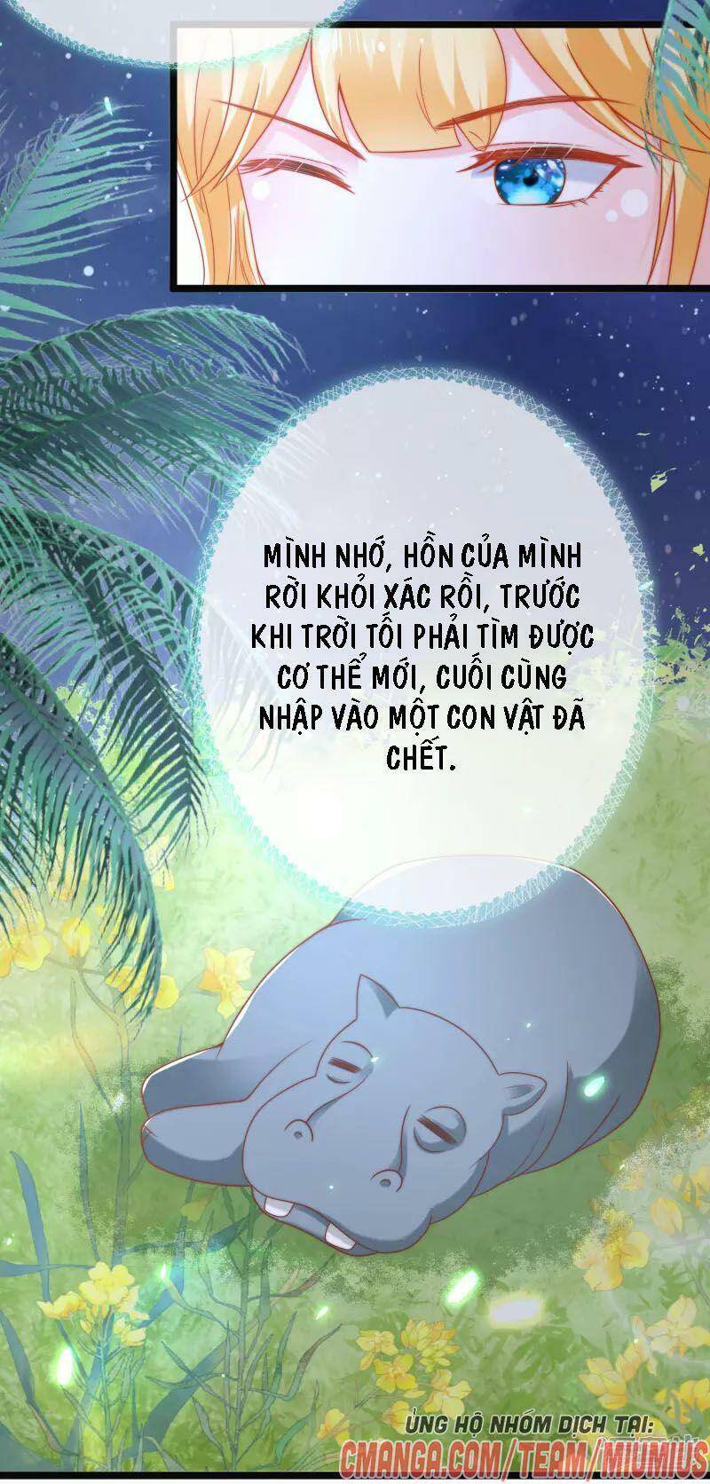 page_26