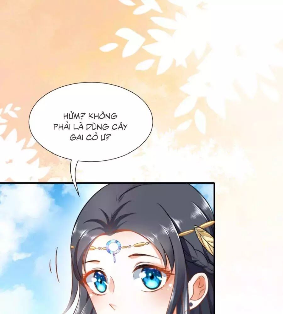 page_29
