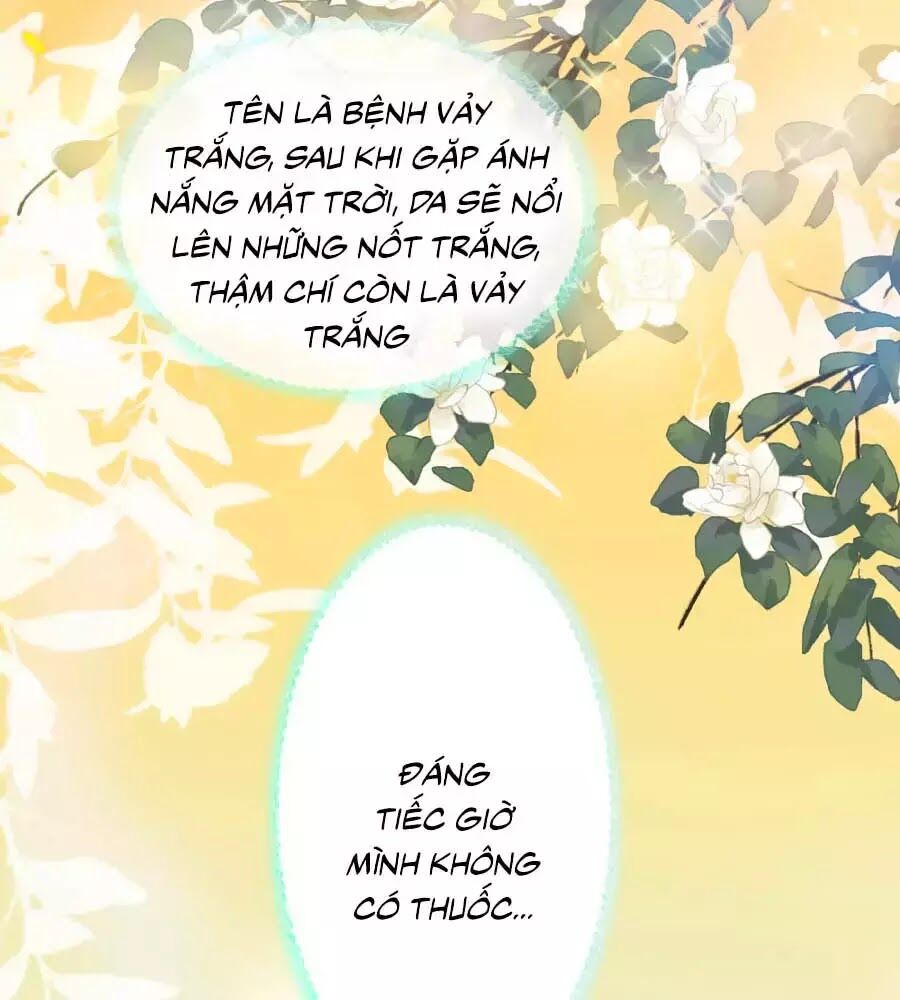 page_20
