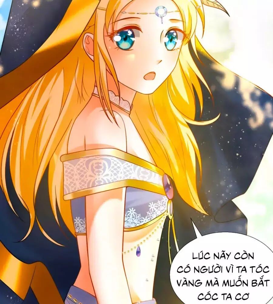 page_24