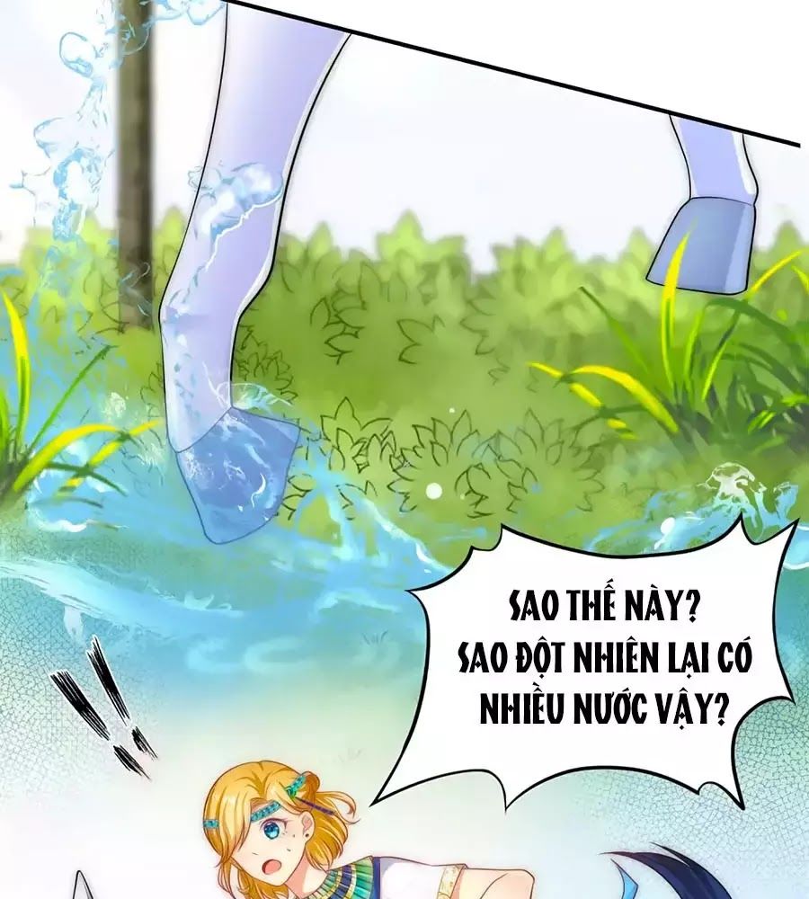 page_66