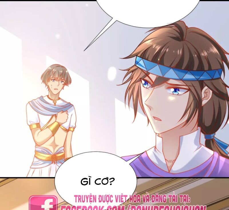 page_24