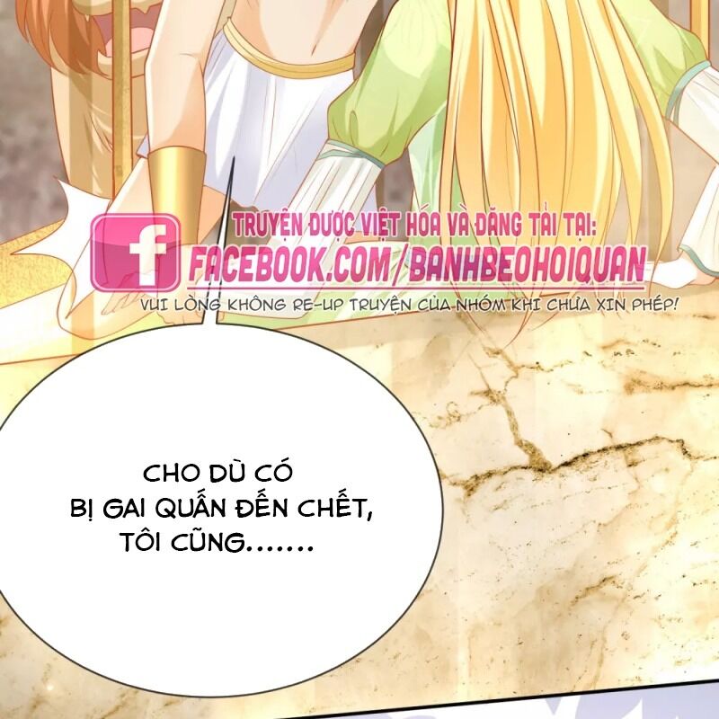 page_49