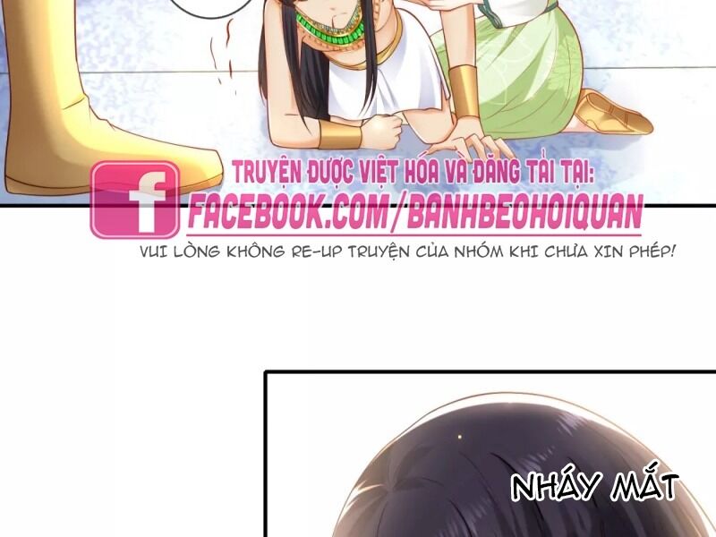page_23