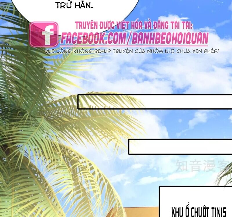 page_43
