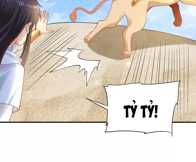 page_51