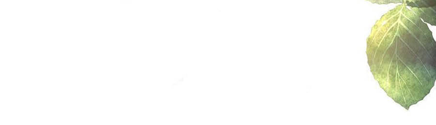 page_26