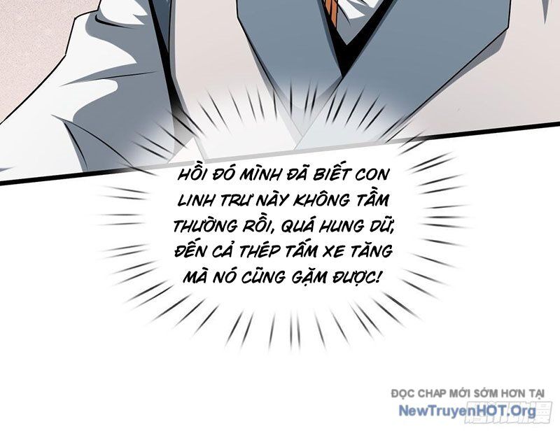 page_29