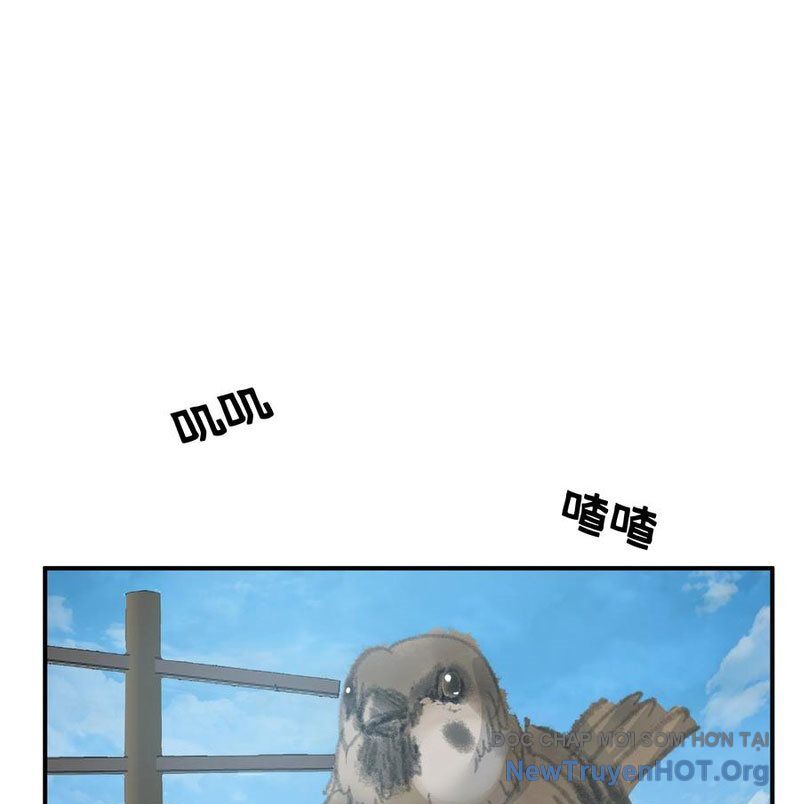 page_29