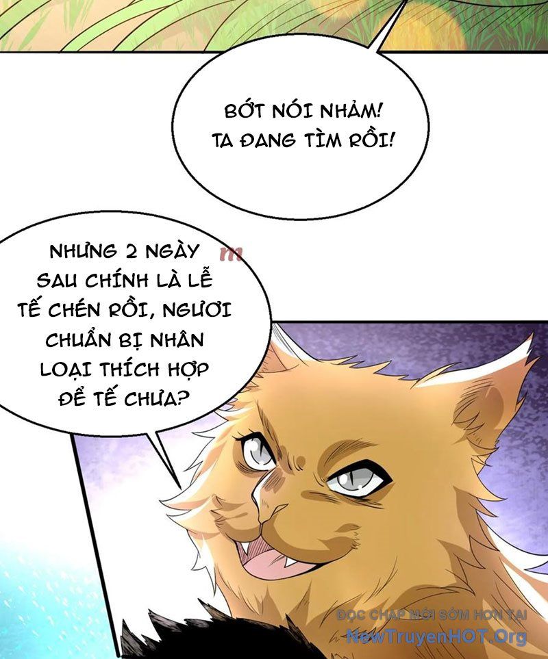 page_11