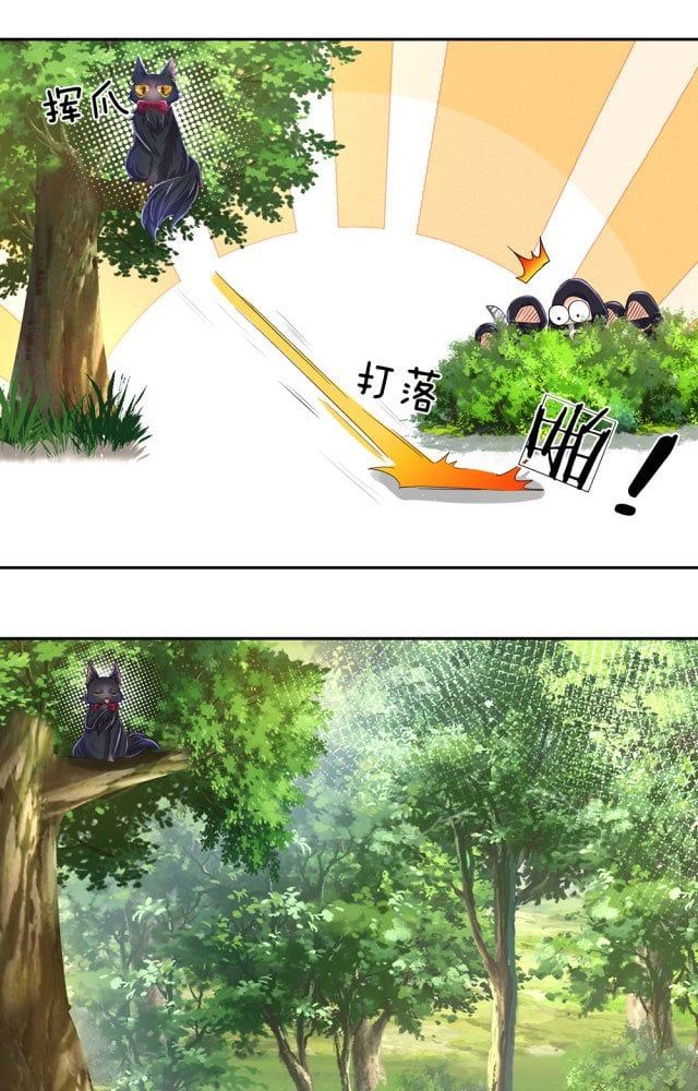 page_11