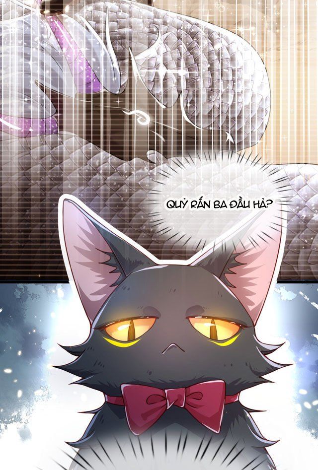 page_24
