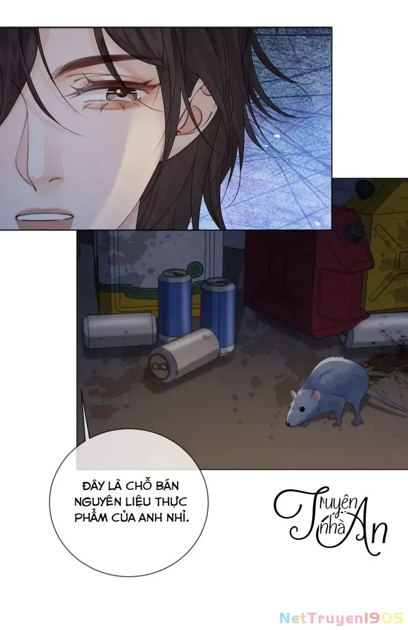 page_31