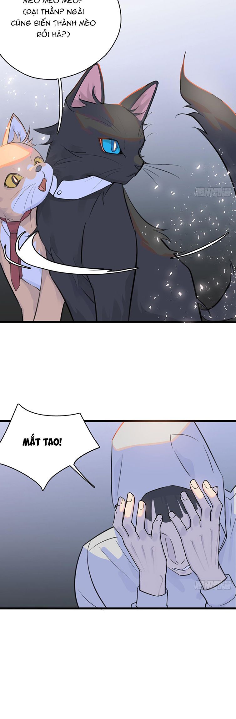 page_16