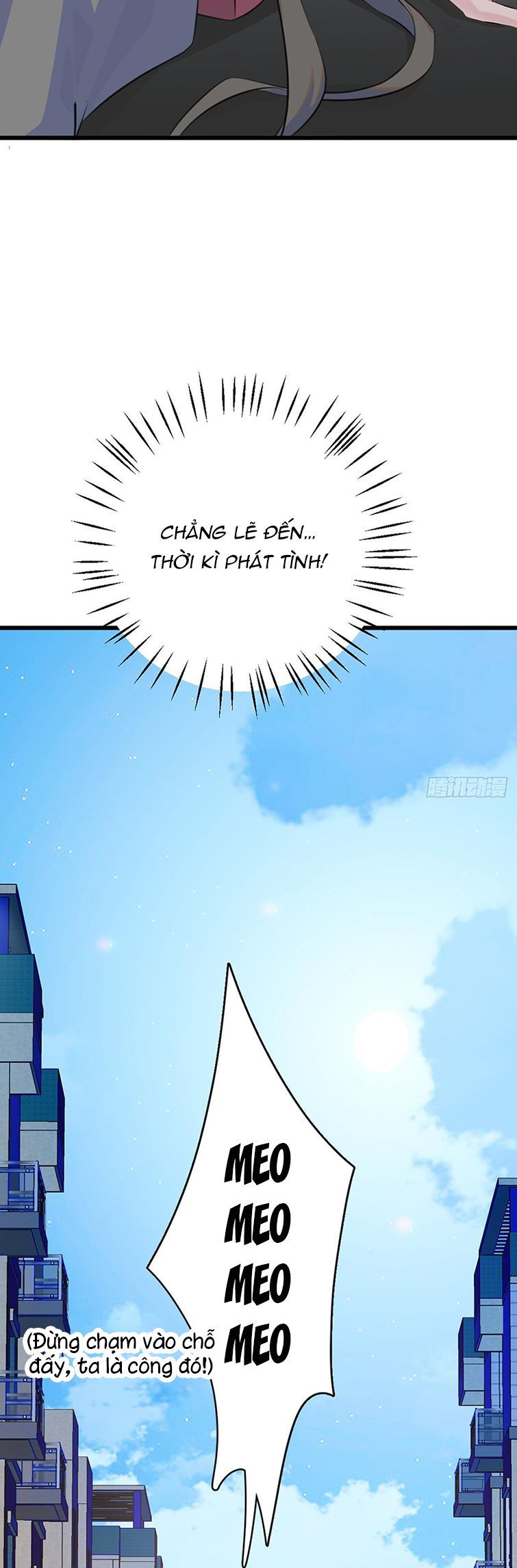 page_21