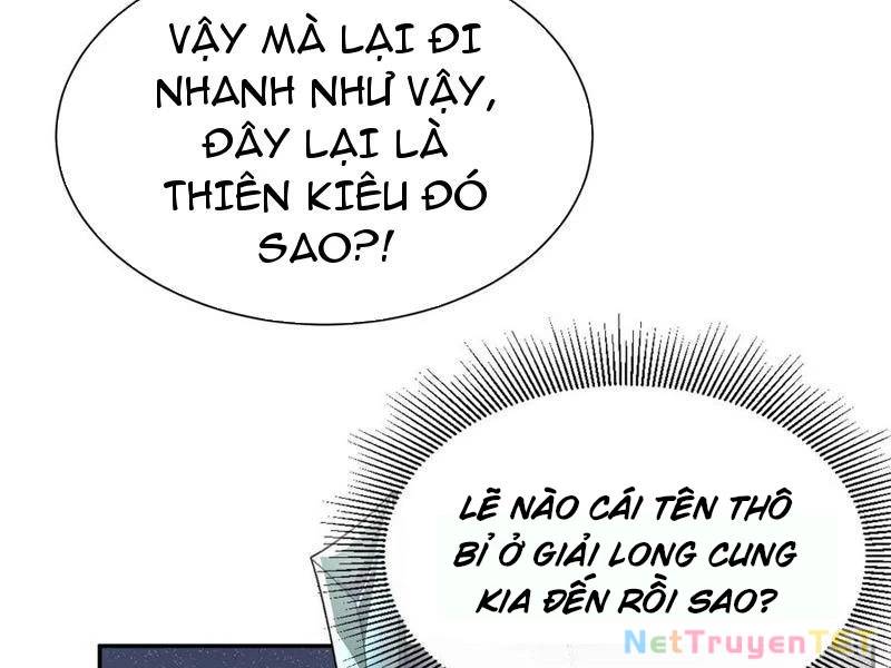 page_51