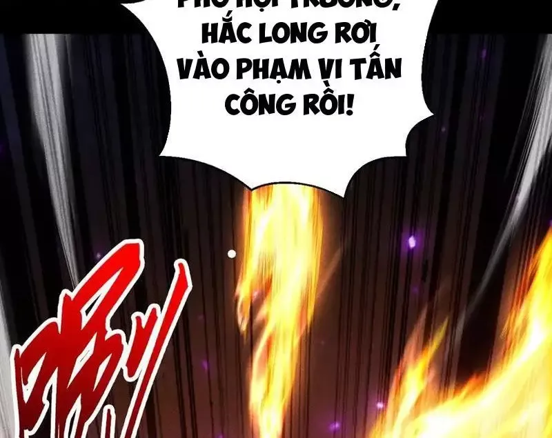page_29