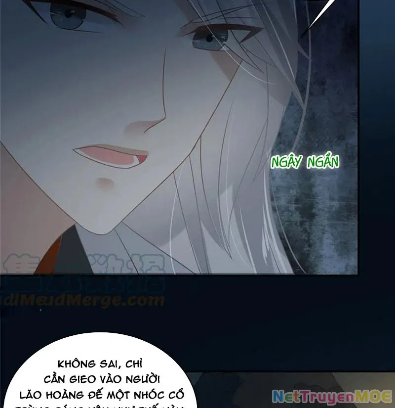 page_13