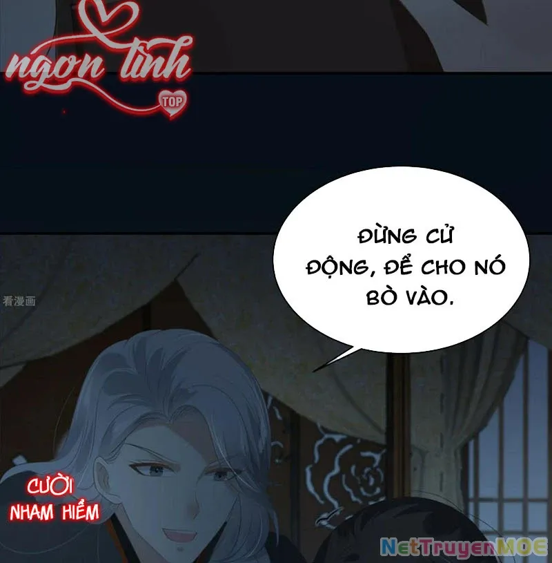 page_7