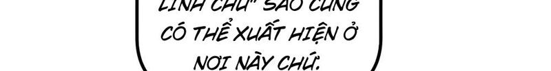 page_62