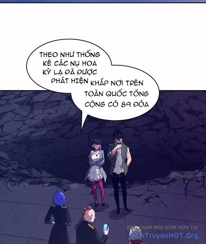page_37