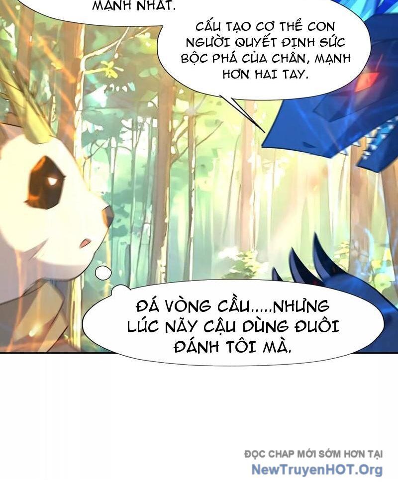 page_13