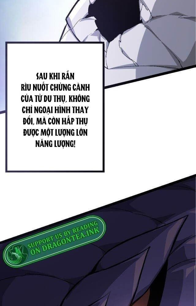 page_46