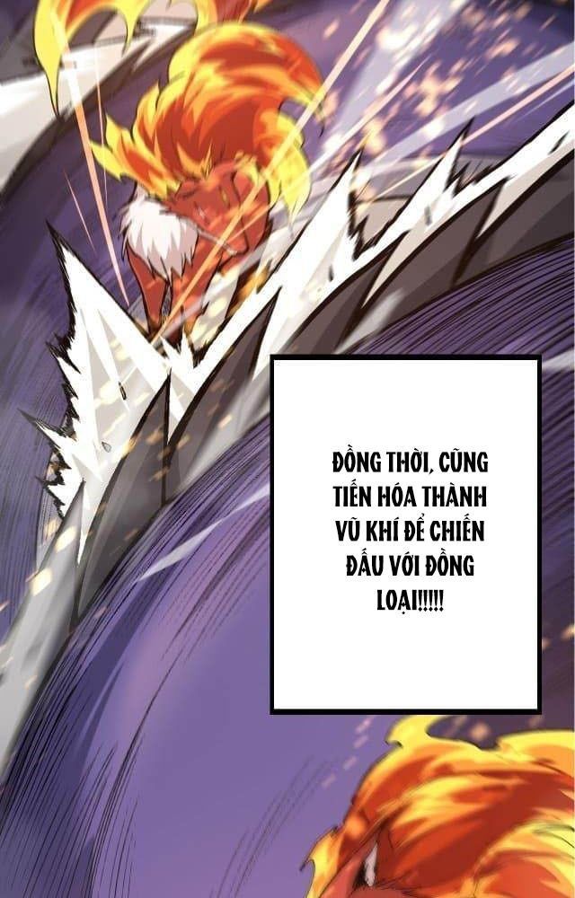 page_88