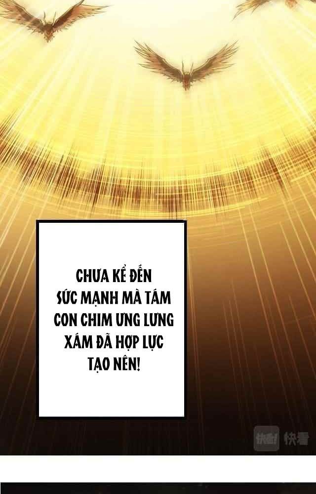 page_19