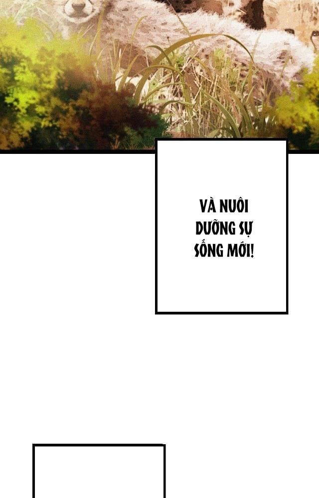 page_50