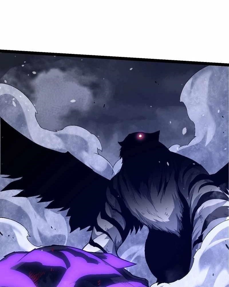 page_29